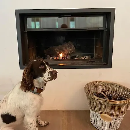 Magnifique Avec Jardin Clos A 5 Min Des Plages A Pied Villa