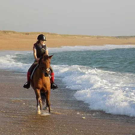 Magnifique Avec Jardin Clos A 5 Min Des Plages A Pied Villa Dolus-d'Oleron
