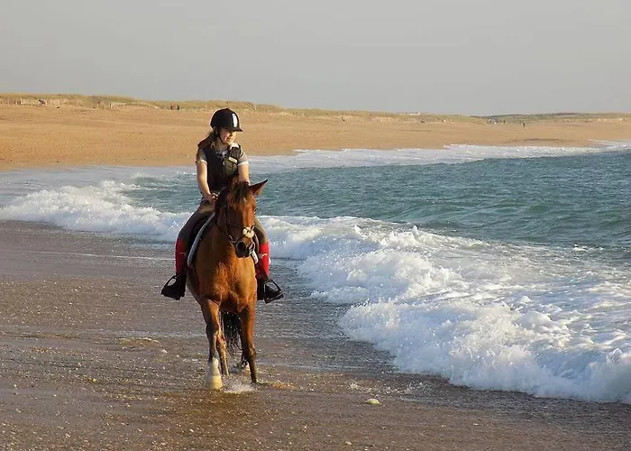 Magnifique Avec Jardin Clos à 5 Min Des Plages à Pied Villa Dolus d'Oléron