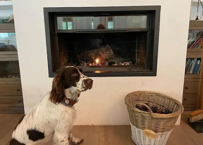 Magnifique Avec Jardin Clos à 5 Min Des Plages à Pied Villa